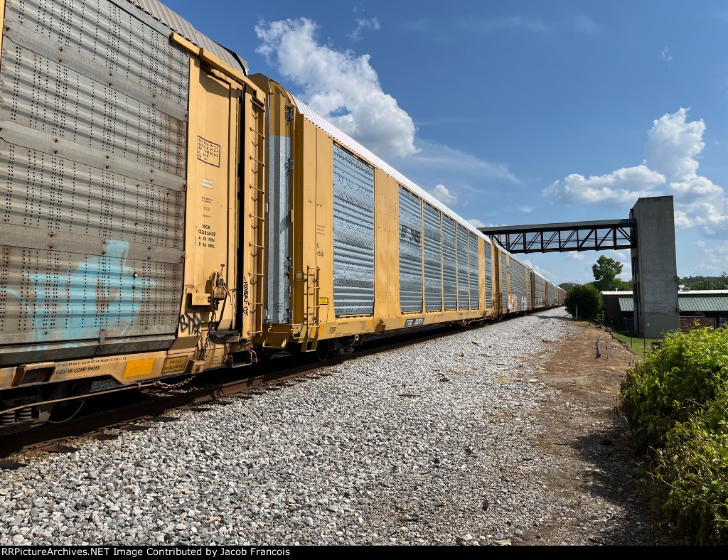 TTGX 823526